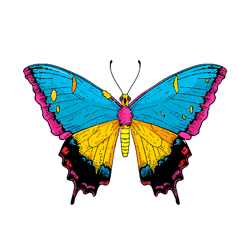 POD Design Colorful Cartoon Butterfly Vector Illustration