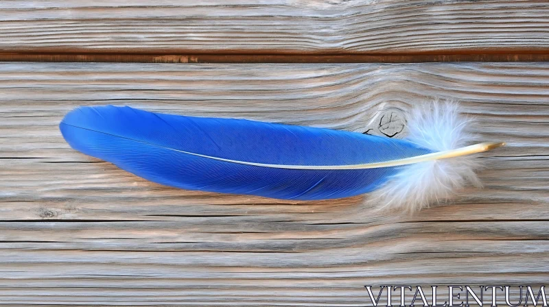 Feather on Wooden Background AI Image