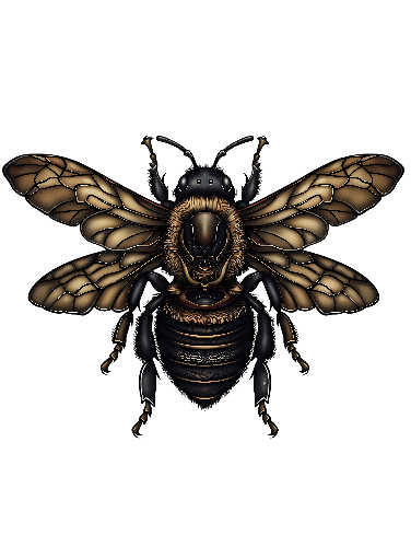 POD Design Detailed Bee Drawing with Green Background