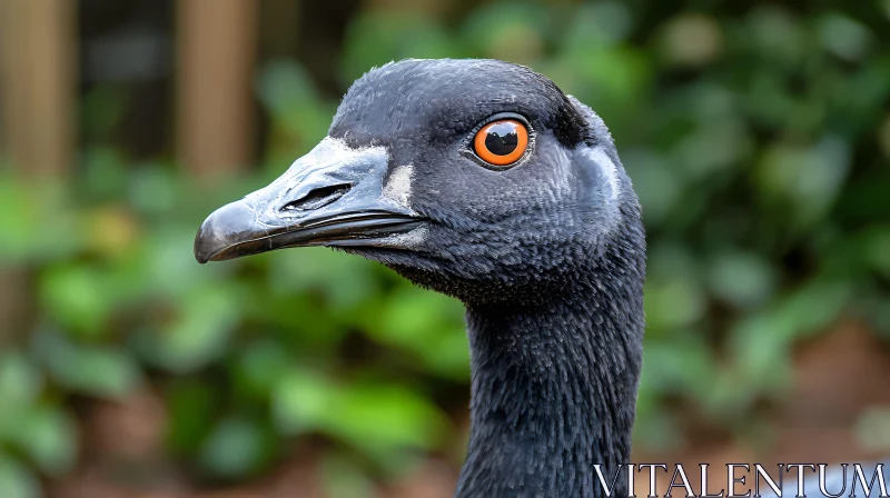 Detailed Bird Close-Up AI Image