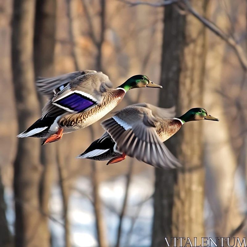 Mallards Flying Through the Forest AI Image