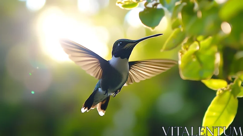 Hovering Hummingbird in Natural Light AI Image