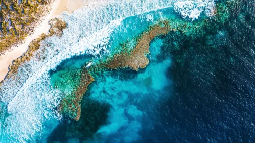 Coastal Aerial Shot with Coral Reefs and Waves