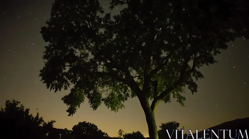 Night Tree Under Stars AI Image