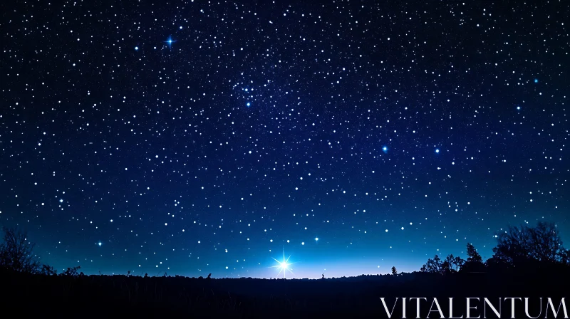Celestial Starry Night