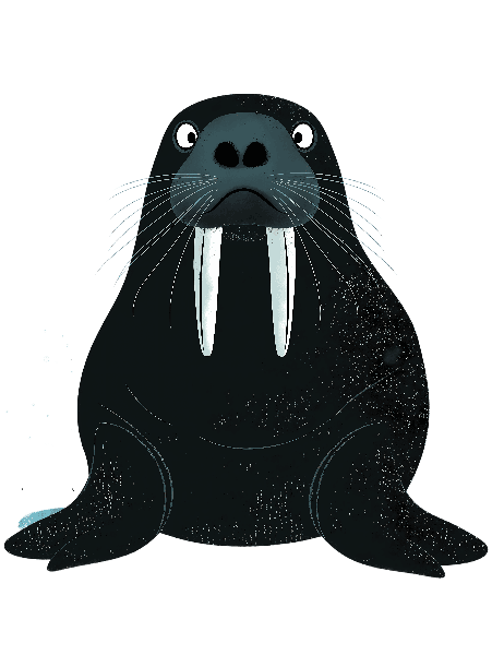 Whimsical Walrus Design