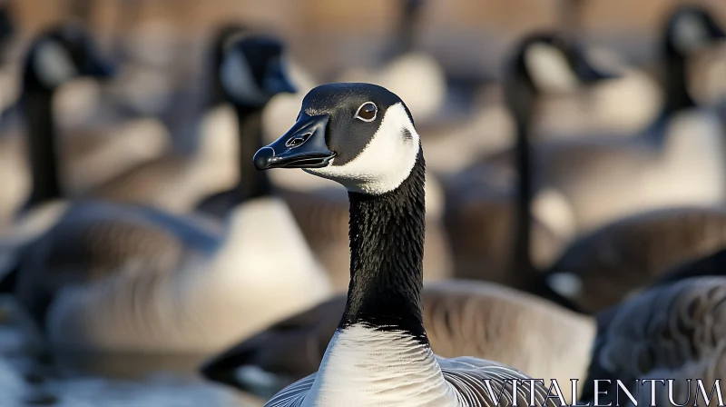 Canada Goose in a Flock AI Image