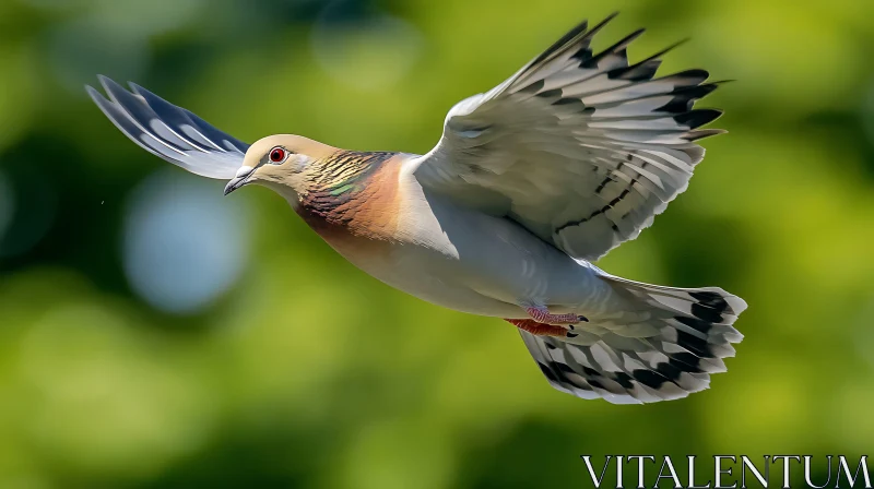 Dove Flying Freely in Natural Habitat AI Image