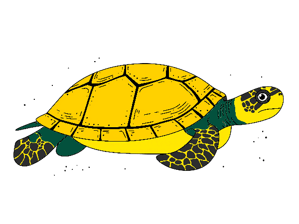 Turtle Graphic T-Shirt Print POD Design