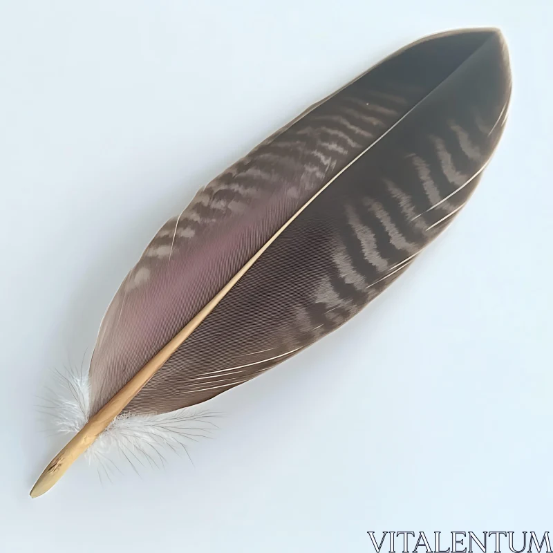 Detailed Feather Close-Up AI Image