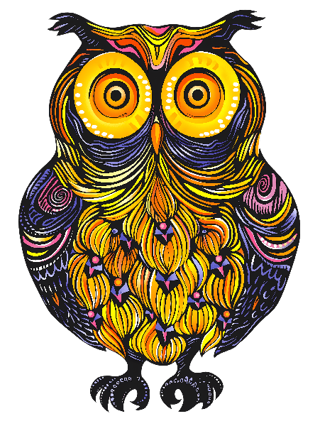 Colorful Owl Illustration POD Design