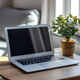 Minimalist Workspace with Laptop and Plant
