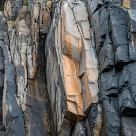 Intricate Details of a Cliff Face
