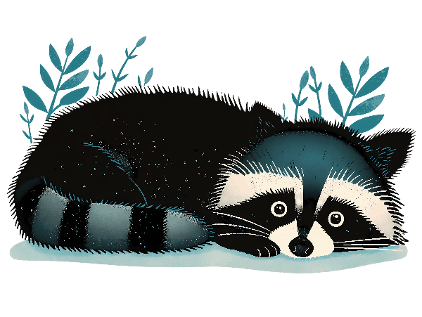 POD Design Peaceful Raccoon Artwork