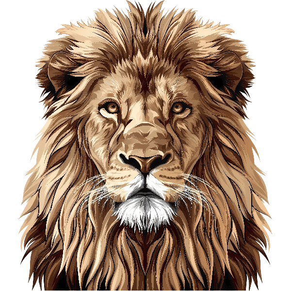 Majestic Lion Illustration for T-Shirt Printing POD Design