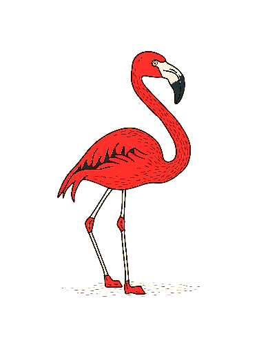 POD Design Cartoon Flamingo Apparel Design for T-Shirts and Bags