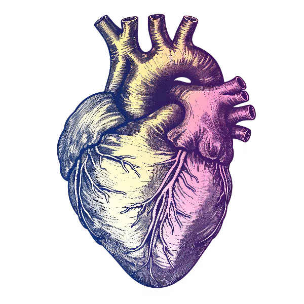 Artistic Heart Illustration for Apparel