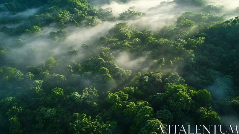 AI ART Fog-Covered Forest Canopy from Above