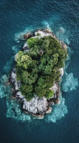 Scenic Aerial Island and Ocean View