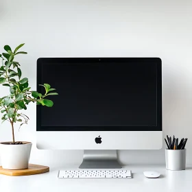 Clean Desk Setup with iMac and Plant