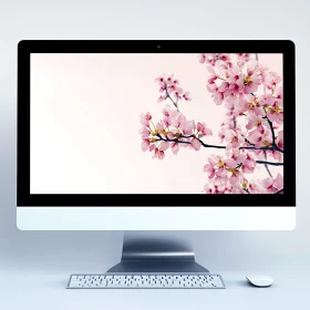 Cherry Blossom Desktop Background on Modern Monitor