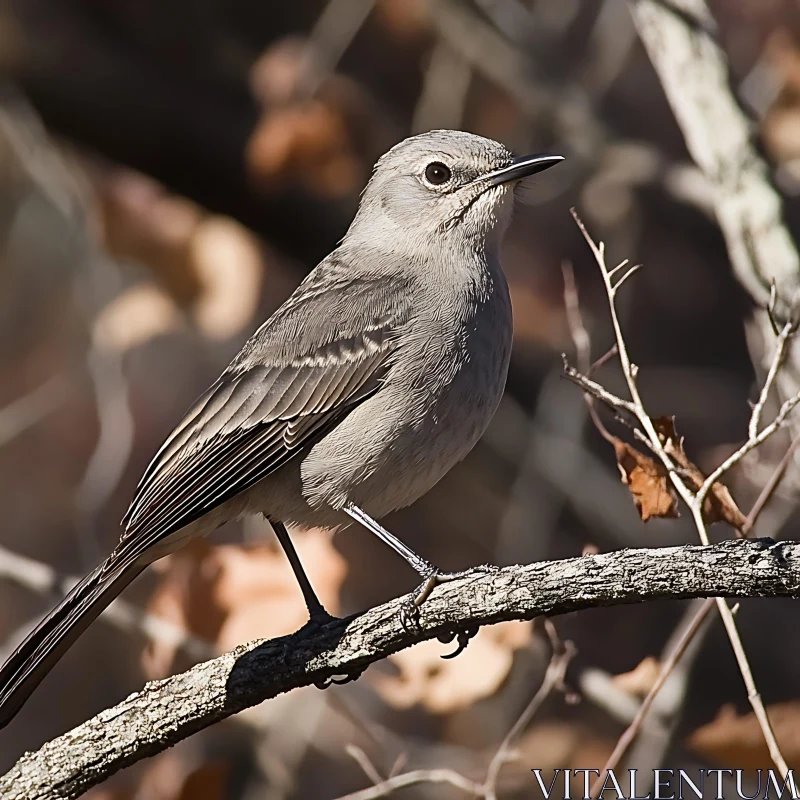 Bird on Branch AI Image