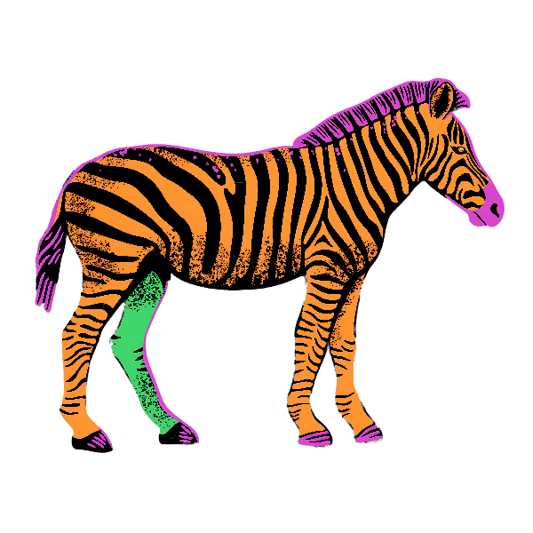 POD Design Colorful Zebra Art on T-Shirt