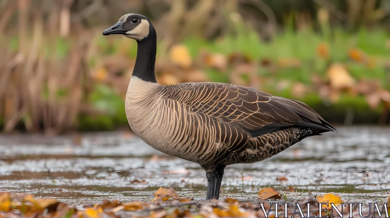 Autumn Goose by the Water AI Image