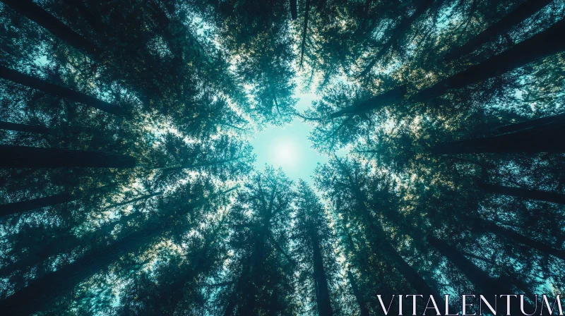 AI ART Looking Up at the Towering Trees in a Forest