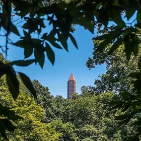 Urban Architecture Seen Through Forest Gap