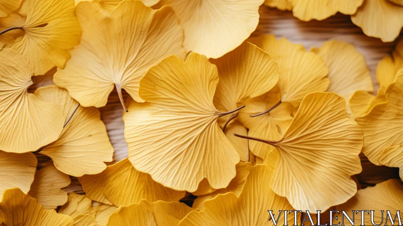 Ginkgo Leaves in Sunlight: A Blend of Nature and Craftsmanship AI Image