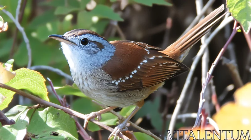 Little Bird on a Branch AI Image