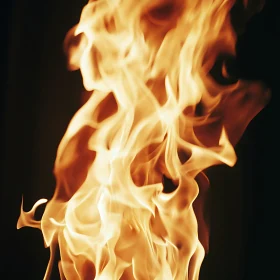 Dancing Flames Against Dark Background