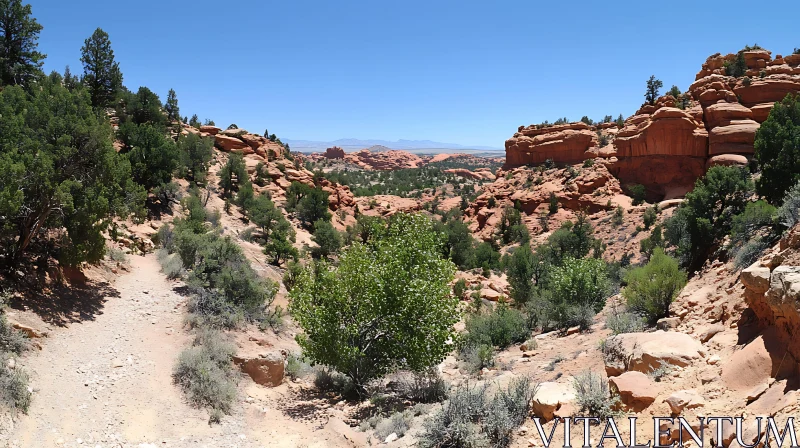 AI ART Desert Wilderness with Rocky Paths
