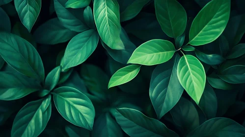Verdant Leaf Canopy: A Study in Greens