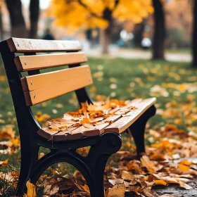Bench Covered with Autumn Leaves