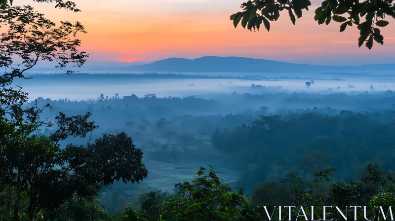 Sunrise Over Misty Forest Landscape
