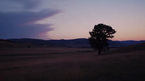 Twilight Silhouette: A Solitary Tree at Dusk