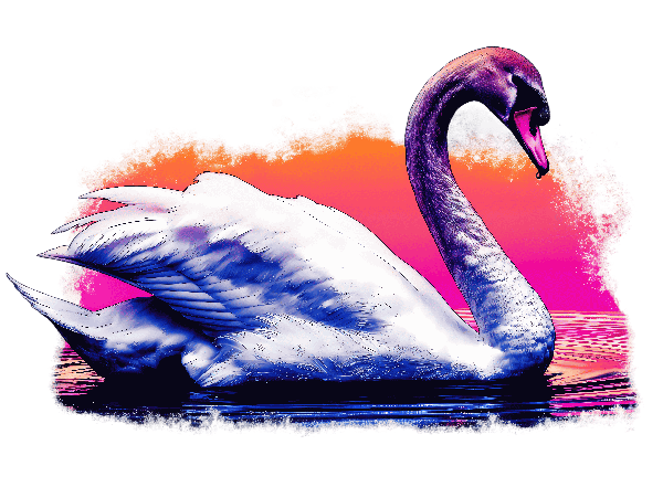 POD Design Swan Sunset Art T-Shirt