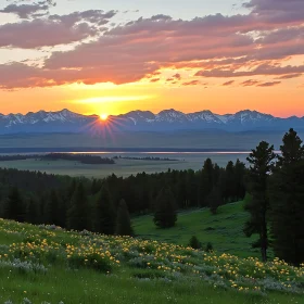 Mountain Sunset with Floral Meadow