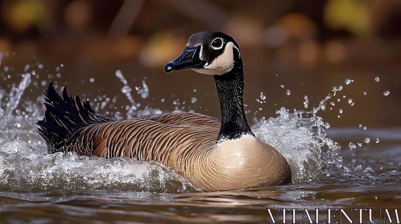 Dynamic Image of Goose Splashing AI Image