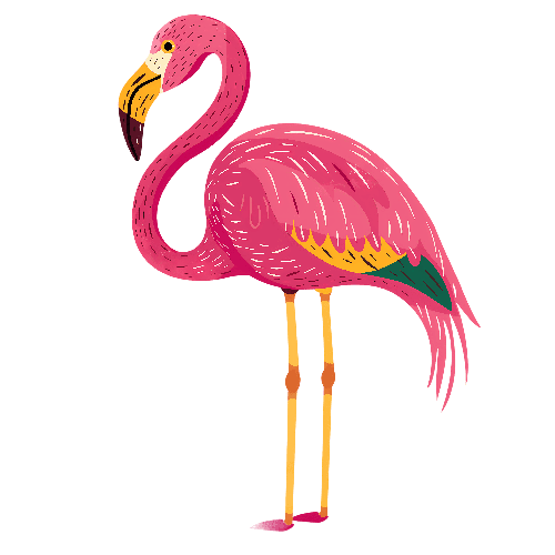 Pink Flamingo T-Shirt Design Illustration POD Design