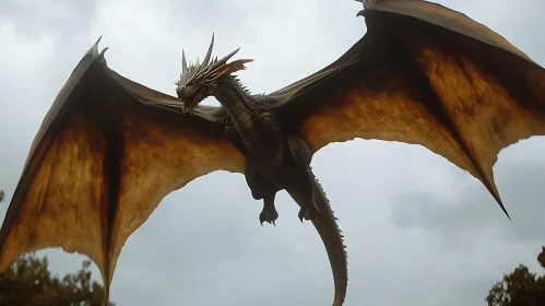 Dragon Soaring Above the Land