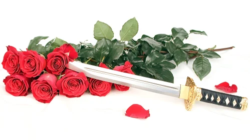 Katana Through Roses Still Life