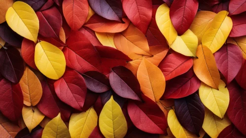 Colorful Autumn Leaves Arrangement: A Celebration of Eco-friendly Craftsmanship