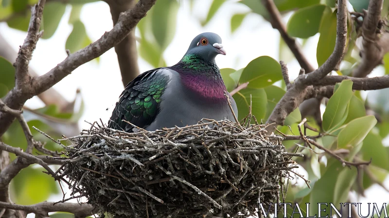 AI ART Pigeon in Nest