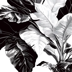 Botanical Banana Leaves Drawing in Monochrome
