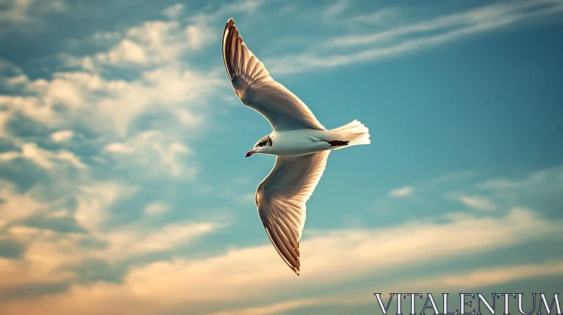 Seagull Flying in the Sky AI Image