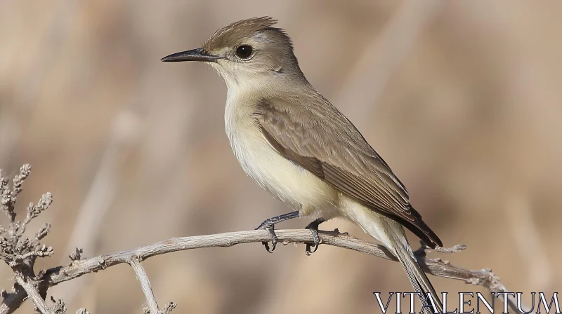 Small Bird on Branch AI Image