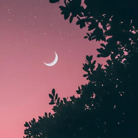 Crescent Moon and Stars in Pink Sky